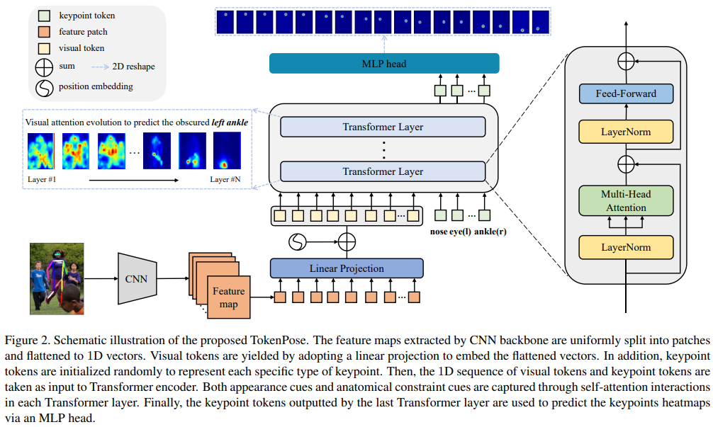 Figure 30